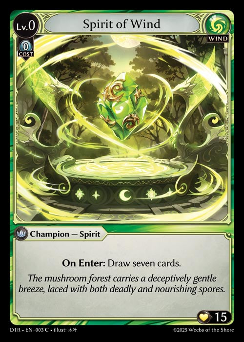 Spirit of Wind - Distorted Reflections